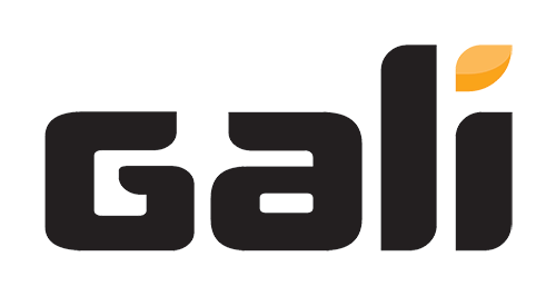GALI logo